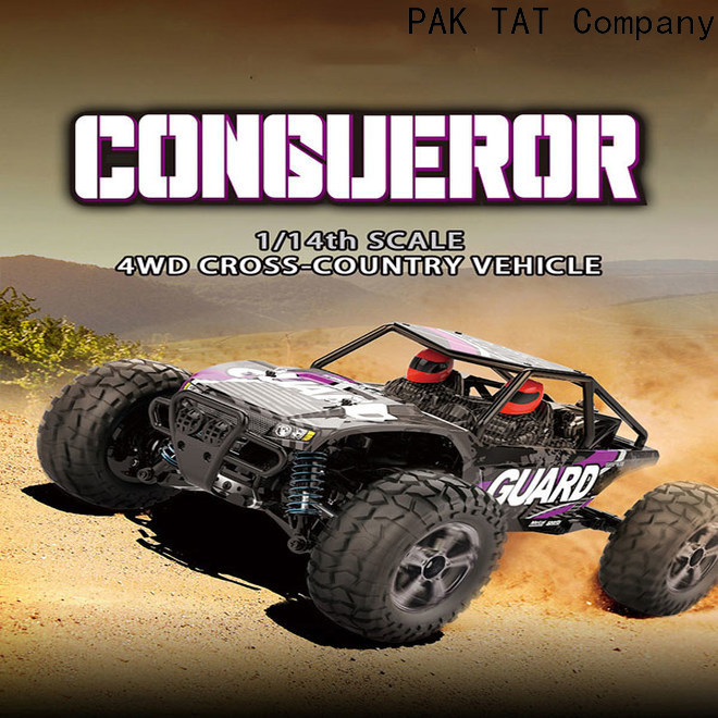 PAK TAT rc radio controlled truck kits overseas market for kid