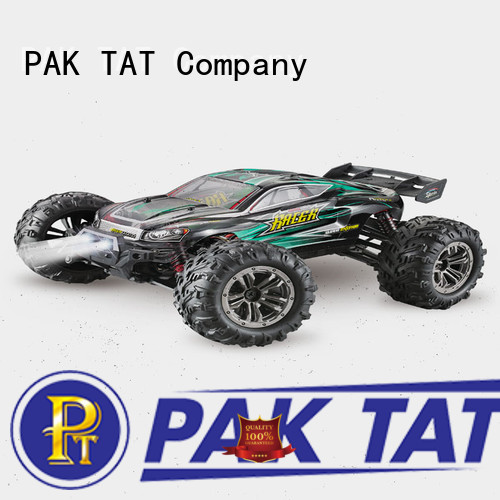 PAK TAT remote control fast 4x4 rc cars wholesale model