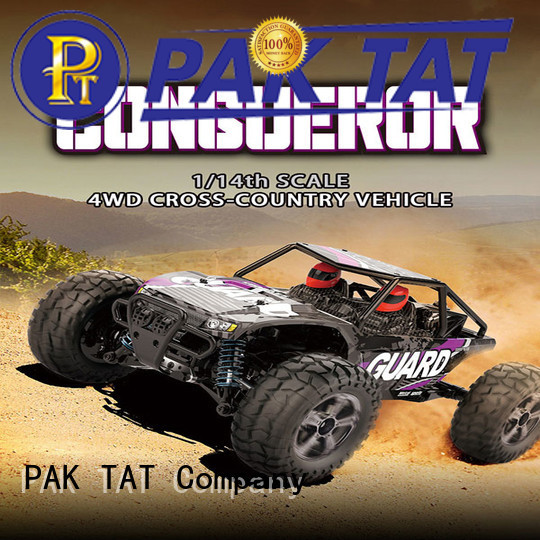 PAK TAT cool off road rc cars company toy
