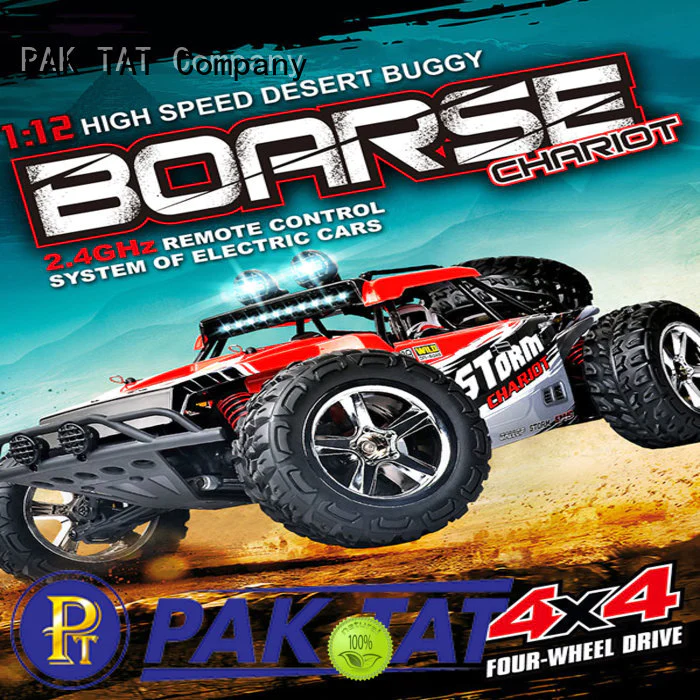 PAK TAT 4x4 rc cars for sale good toy