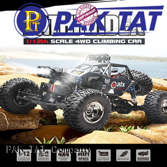 PAK TAT fast off road electric rc cars wholesale off road
