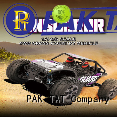 PAK TAT Latest electric off road rc cars for sale oem for kid